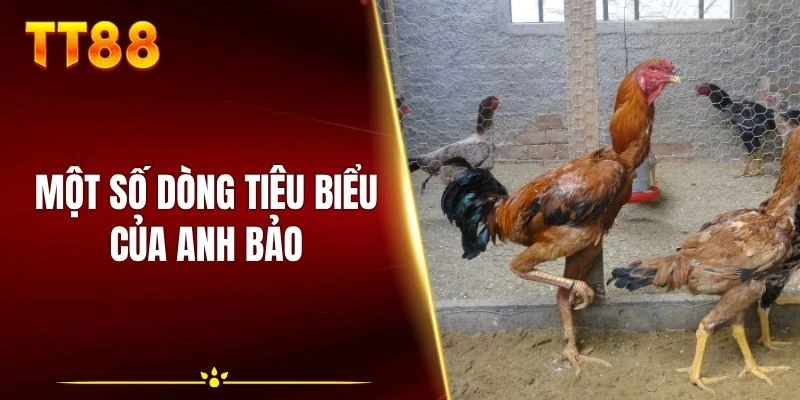 Một số dòng tiêu biểu của anh Bảo