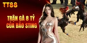 trận gà 8 tỷ của Bảo Sting